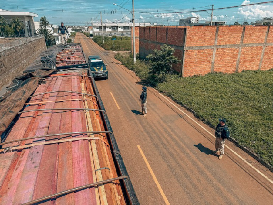 PRF apreende madeira ilegal, identifica adulteração e intercepta drogas com caminhoneiro em Primavera do Leste-MT