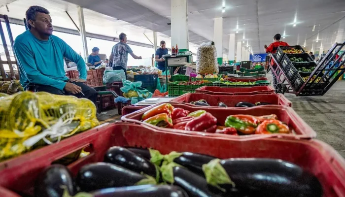 campanha-incentiva-o-aproveitamento-de-alimentos-para-reduzir-desperdicio