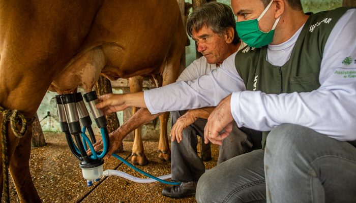 Programação também vai trazer sobre os impactos operacionais ao longo da cadeia leiteira. Foto: CNA/Wenderson Araujo