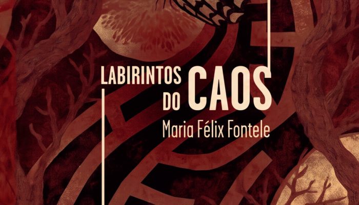 Capa-LabirintosdoCaos-MariaFelixFontele